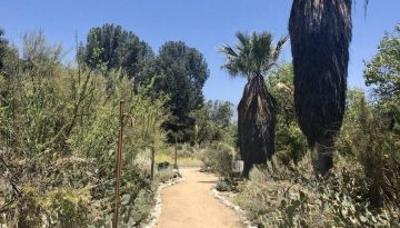Rancho Santa Ana Botanic Garden Day Trip
