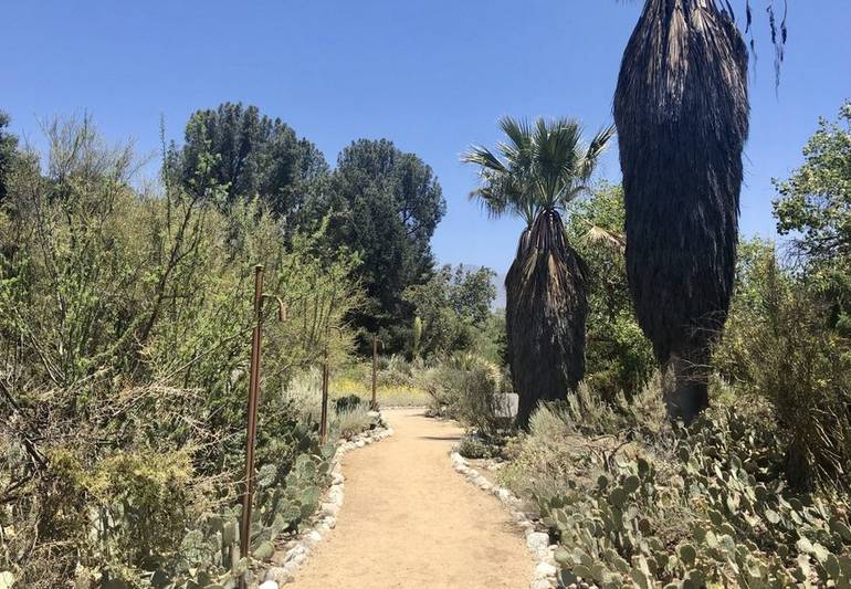 Rancho Santa Ana Botanic Garden A Fun Family Day Trip