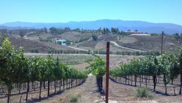 Temecula Valley Wine Country Day Trip