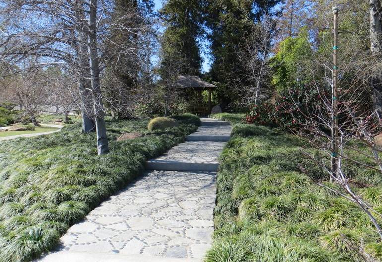 dry garden, also known as a xeriscape