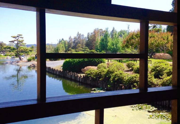 Japanese Yin and Yang Garden