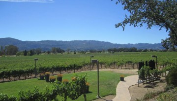 Napa Valley Day Trip