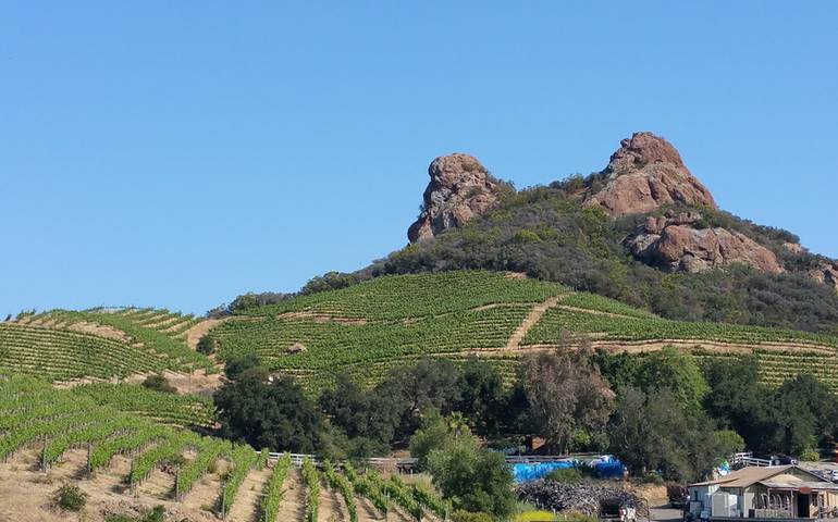 Santa Monica wine growing region