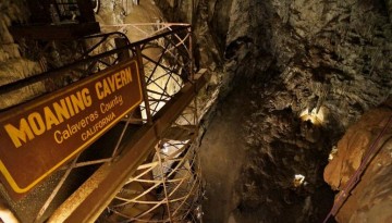 Moaning Caverns Adventure Park