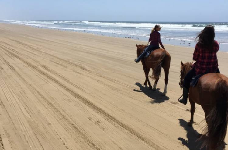 Oceano Campground Pismo State Beach Oceano California
