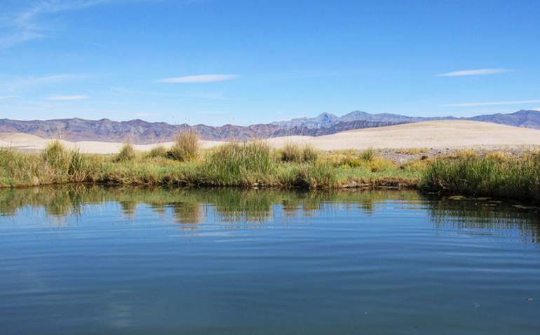 Tecopa Hot Springs 