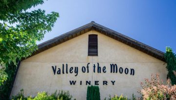 Sonoma County Day Trips