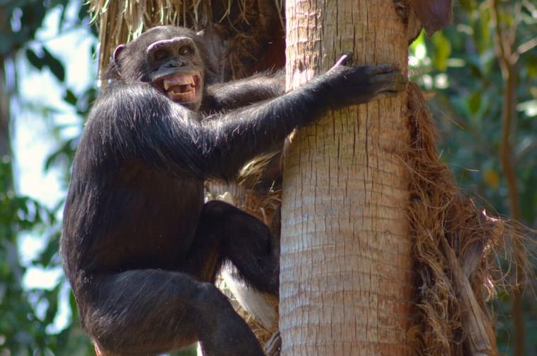 Los Angeles Zoo Kids Birthday Party