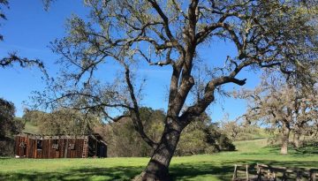 Santa Ynez Valley