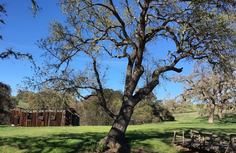 Santa Ynez Valley, California