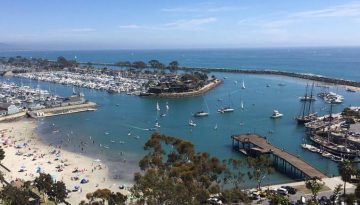 Dana Point Whale Festival