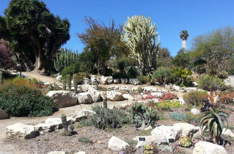 Day Trip: Exploring the Beauty of South Coast Botanic Garden