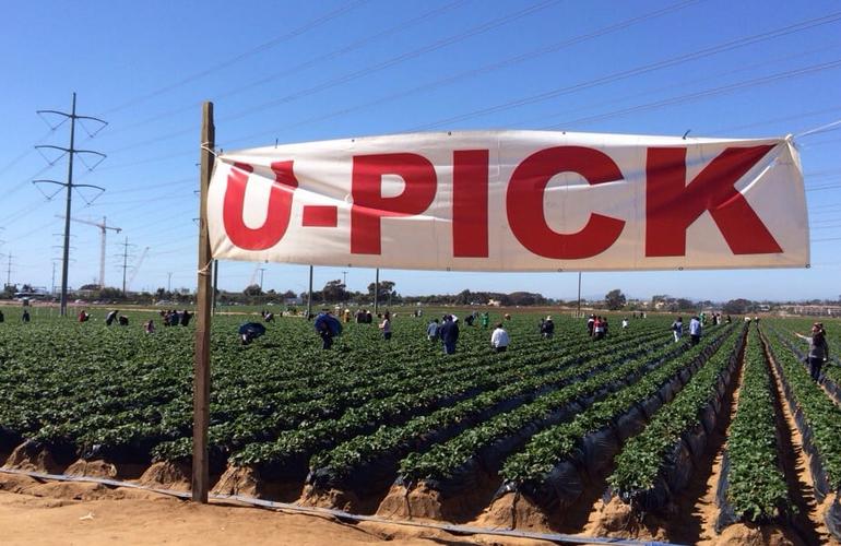 farm tours southern california