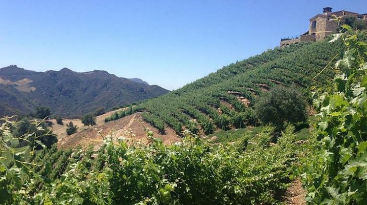 Southern California Wineries & Wine Tasting