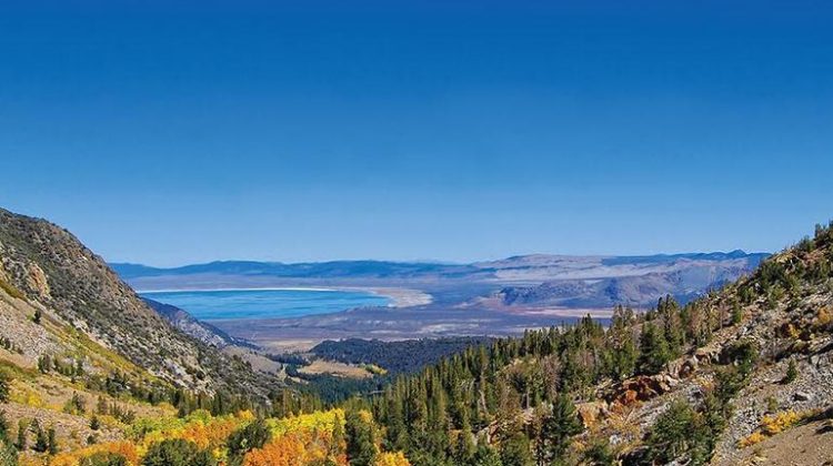 California High Sierra Day Trips