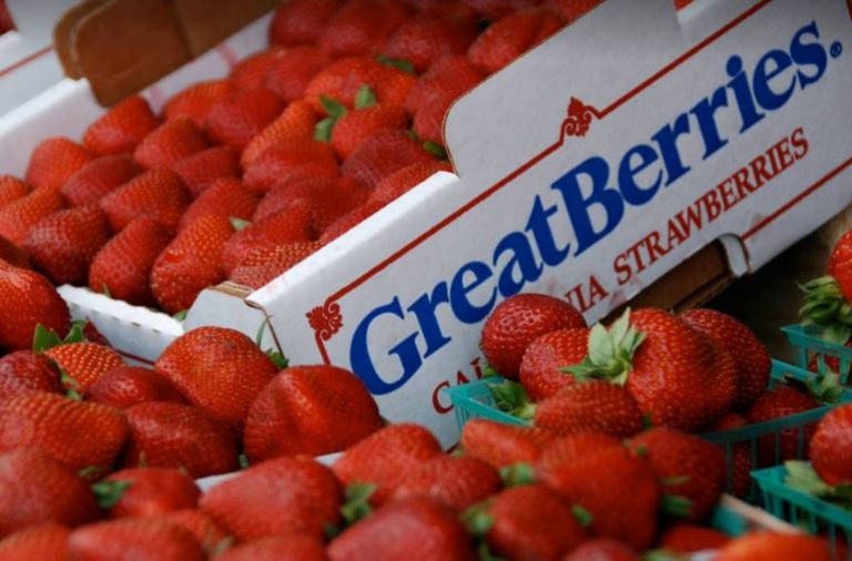 Oxnard Strawberry Festival Discounts Schedule Activities