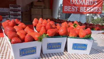 Oxnard Strawberry Festival