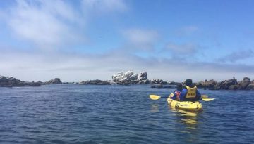 Moss Landing Day Trip