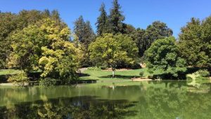UC Davis Arboretum Day Trip