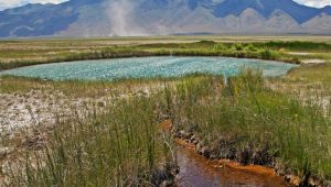 Exploring Nevada & Arizona Natural Hot Springs: Where to Find Them
