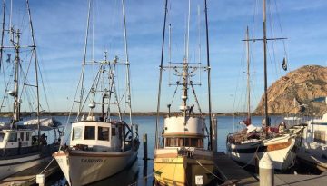 Morro Bay Day Trip California Central Coast