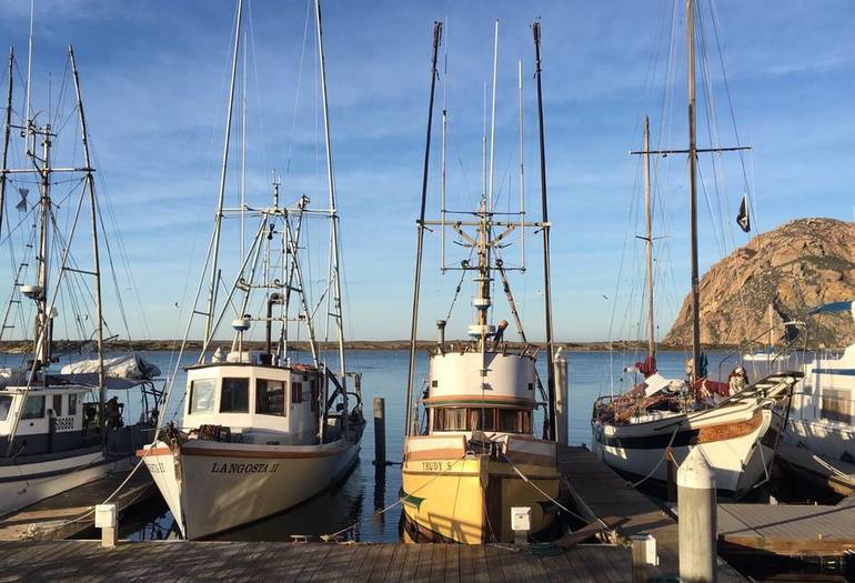 Morro Bay Day Trip California Central Coast