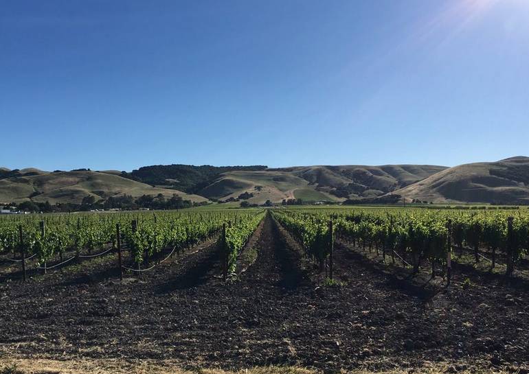 Sonoma Valley Day Trip Things To Do