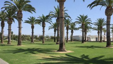Orange County Day Trips