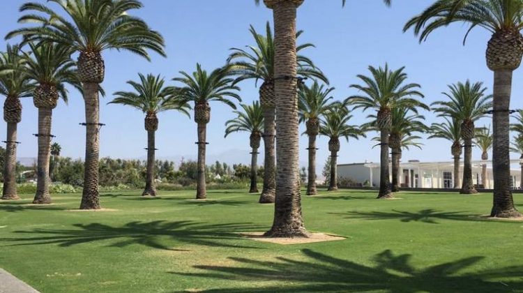 Orange County Day Trips