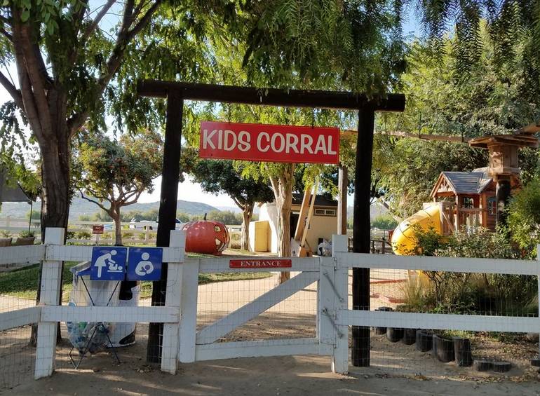 10 Best Family Day Trips From Los Angeles Daytrippen Com