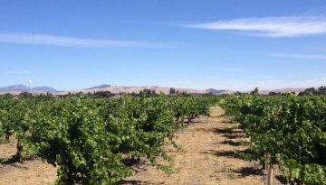 Day Trip to Livermore California