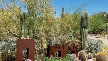 Sonora Desert Museum Arizona