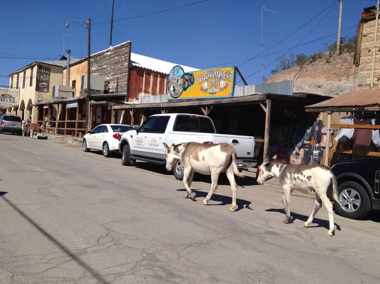 Oatman Arizona