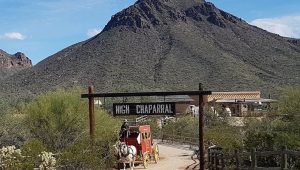 Arizona's Must-Do Day Trips: Best Spots for a Weekend Adventure