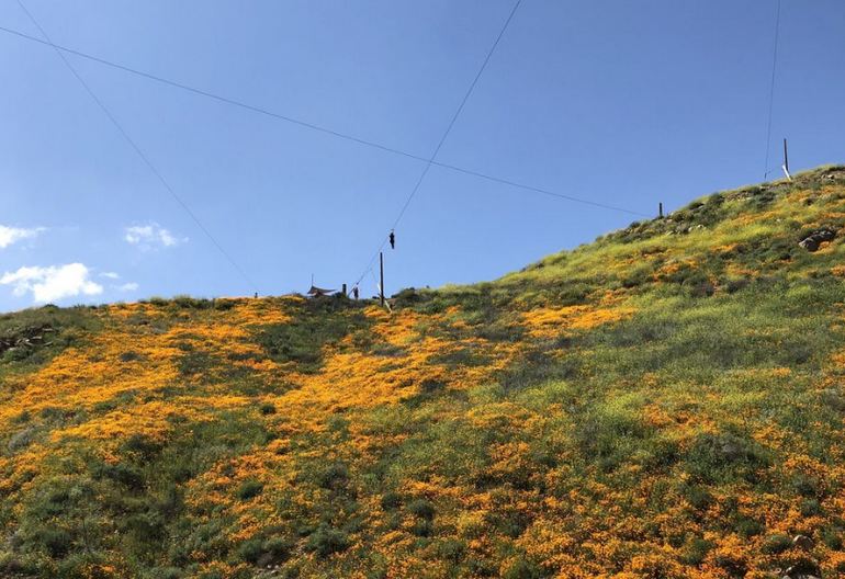 Skull Canyon Zip Lines Temescal Canyon Rd Corona, CA Skull Canyon Zip Lines Temescal Canyon Rd Corona, CA