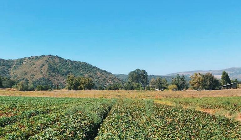 farm tours southern california