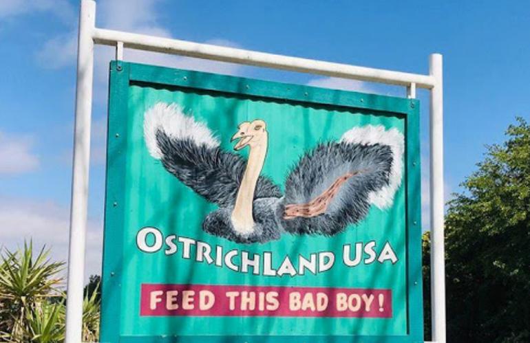 OstrichLand USA