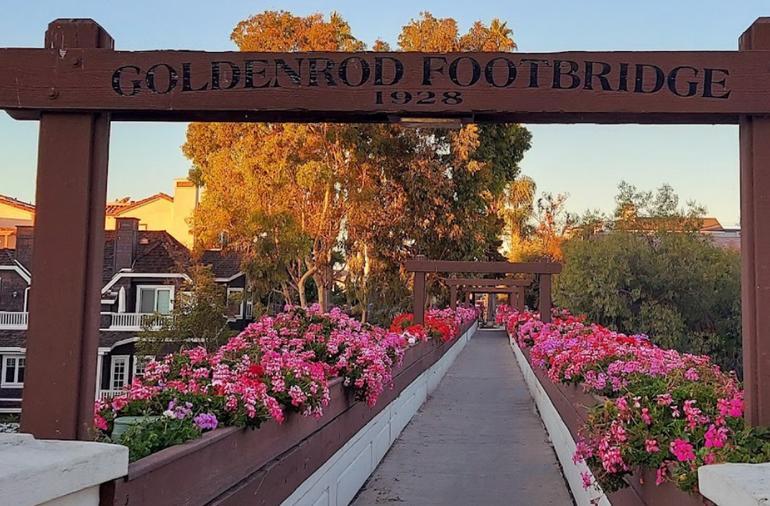 Goldenrod Footbridge