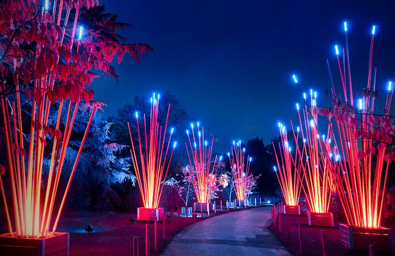 Los Angeles County Arboretum Lightscape