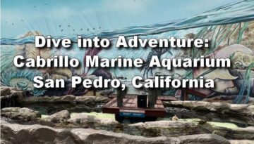 Dive into Adventure: A Day Trip to Cabrillo Marine Aquarium