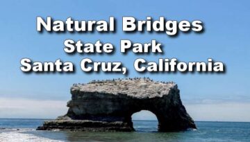 Day Trip to Natural Bridges: A Stunning Santa Cruz Gem