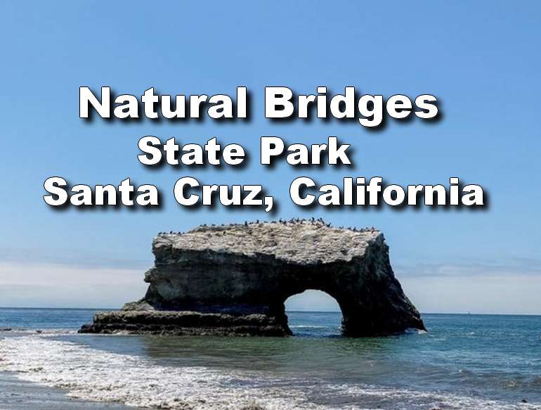 Day Trip to Natural Bridges: A Stunning Santa Cruz Gem