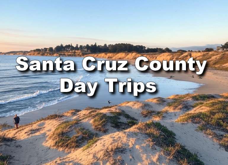 Santa Cruz County Day Trips