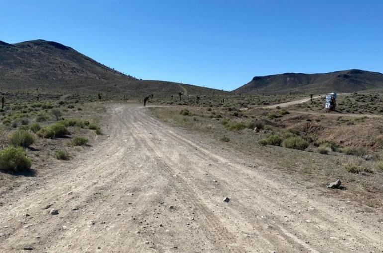 Road to the Car Forest