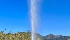 Visiting Old Faithful Geyser in Calistoga: A Volcanic Wonder