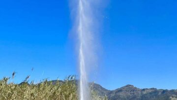 Visiting Old Faithful Geyser in Calistoga: A Volcanic Wonder