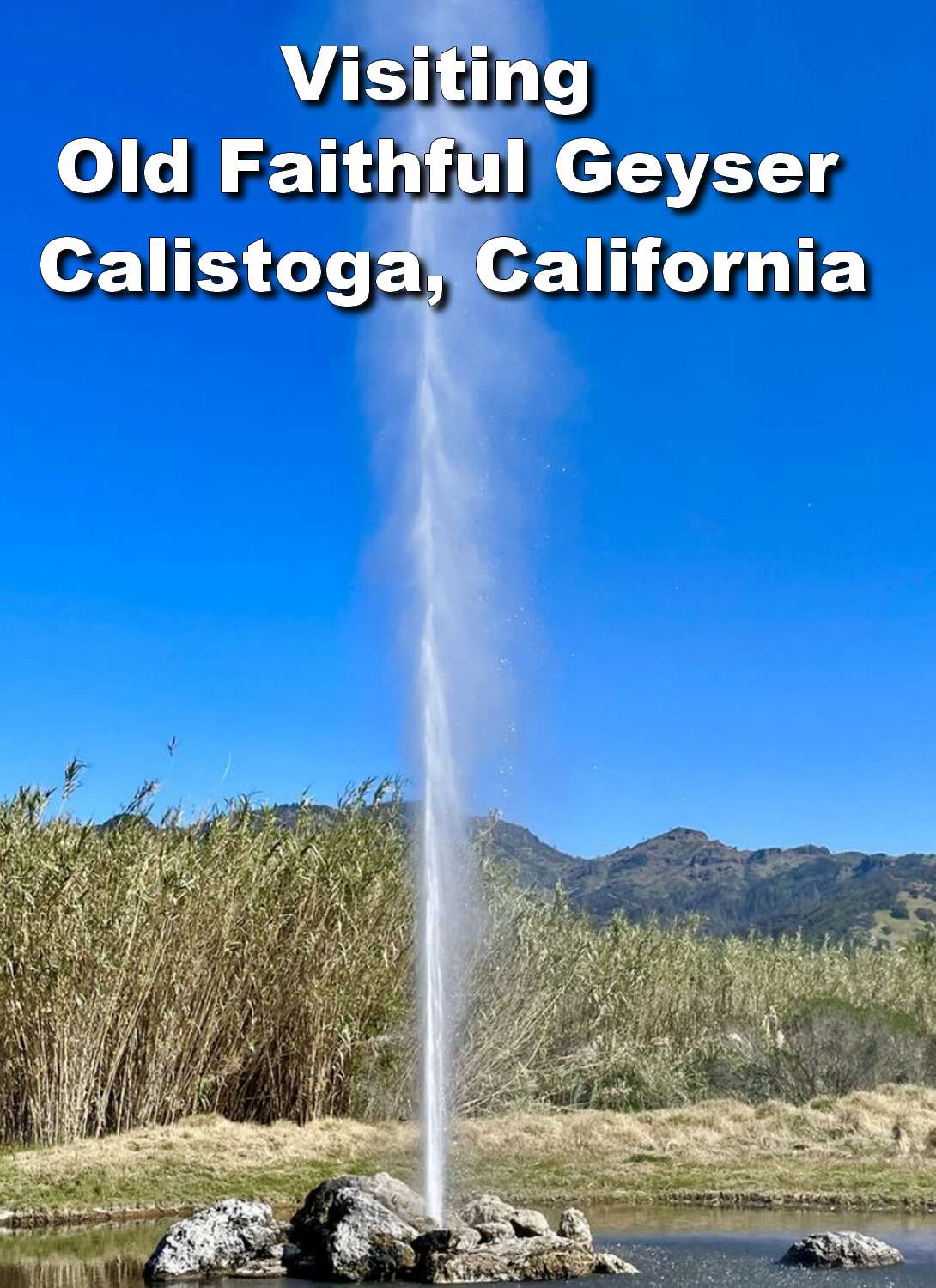 Visiting Old Faithful Geyser in Calistoga: A Volcanic Wonder