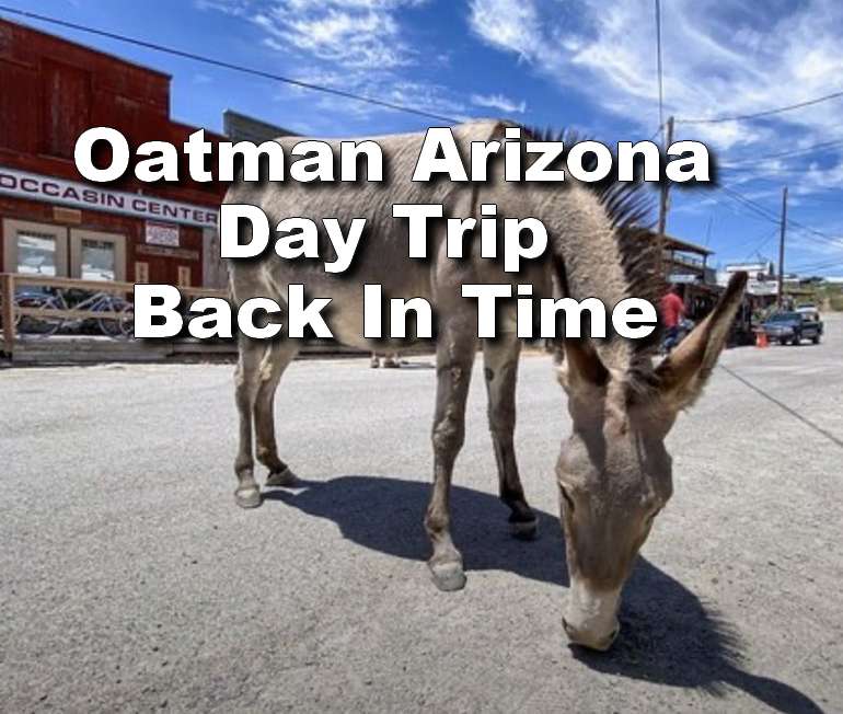Oatman, Arizona Day Trip