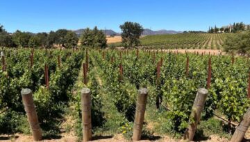 Santa Ynez, California Day Trip