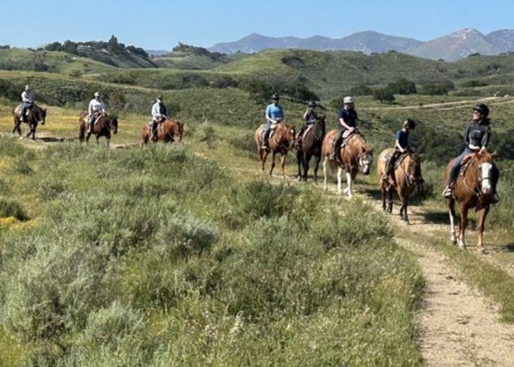 Vino Vaqueros Horseback Riding